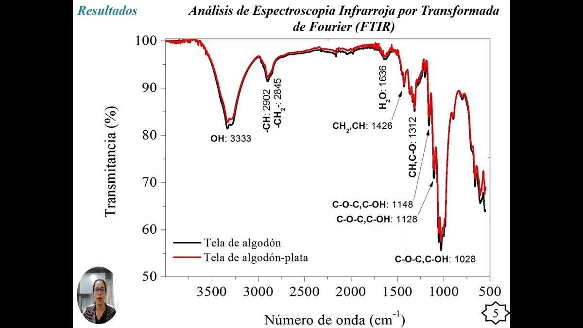 MED213 - Efecto Antimicótico de Telas de Algodón con Plata Frente a Trichophyton mentagrophytes