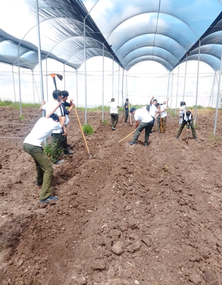 NOV053- Evaluación del Proceso Enseñanza-Aprendizaje a través de Proyectos Agrícolas # Innovali…