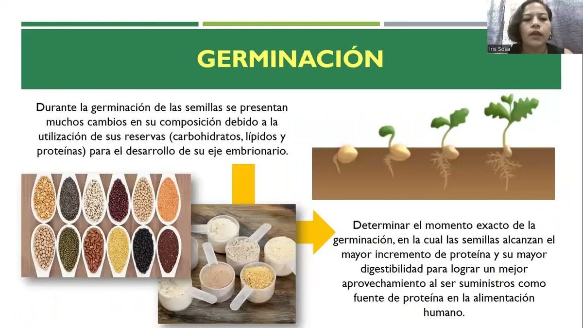 FRS117 - Influencia de la Germinación sobre el Contenido de Proteína y Digestibilidad de Harinas …