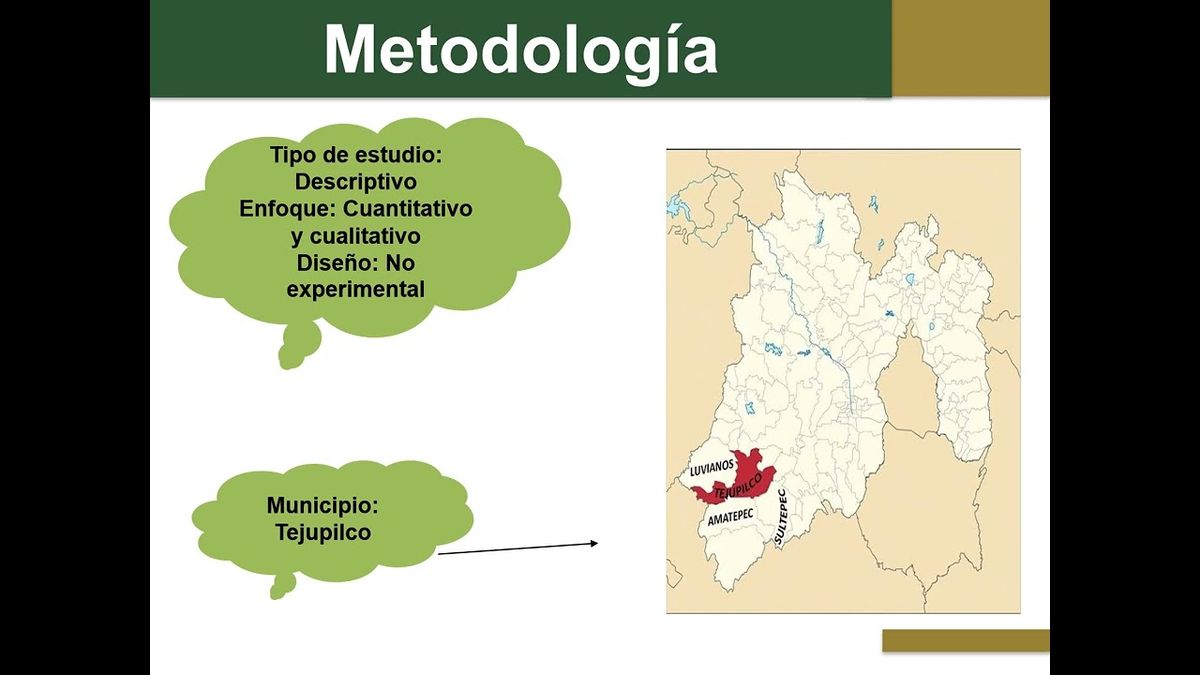 ITP274 - Control interno en las micro pequeñas y medianas empresas, en Tejupilco México, 2022