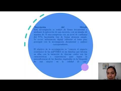 FRS237 - Impacto Económico en las Mipymes Familiares en el Sur de la Prolongación de la 16 de Sep…