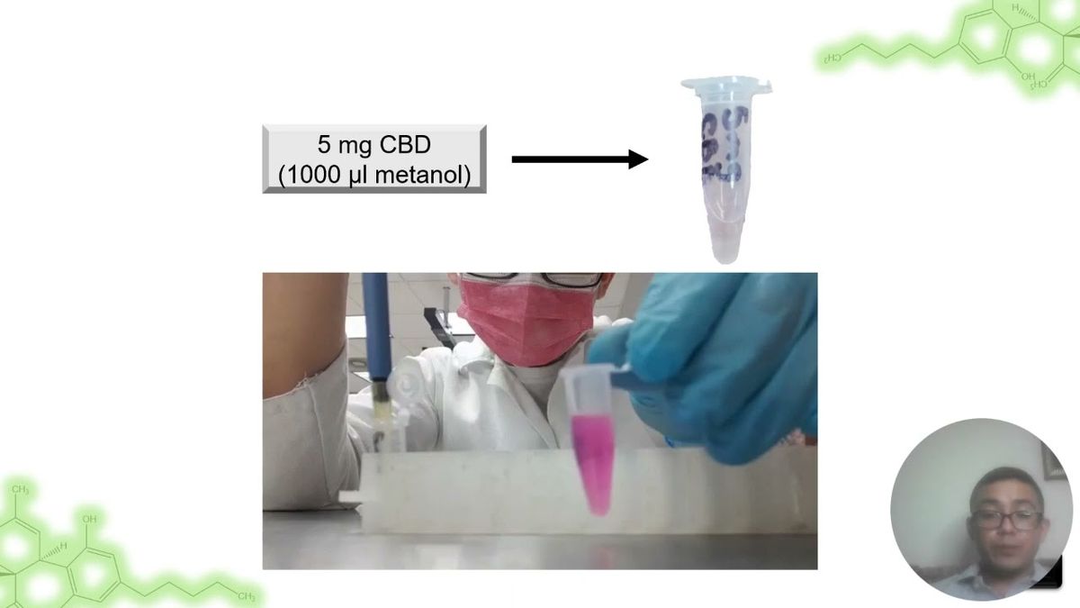 CHM256 - Análisis del Efecto Citotóxico de Cannabidiol en una Línea Celular Cancerígena