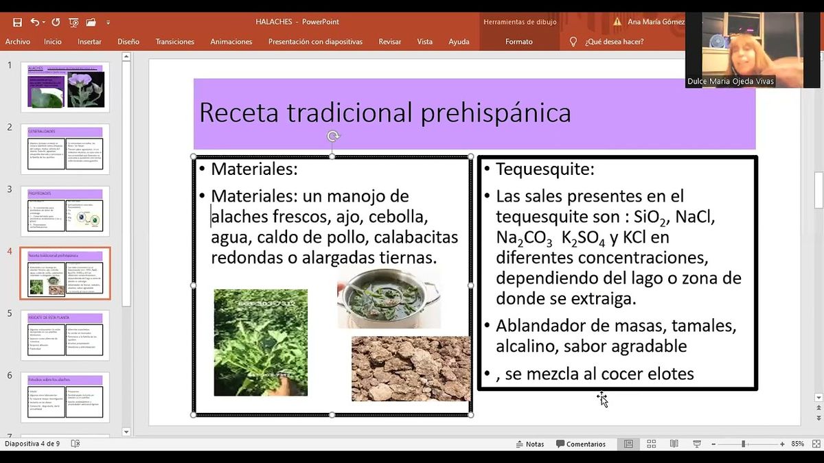 CEL056 - Beneficios Alimentarios y Medicinales de los Alaches: Preparación de una Receta Tradicion…