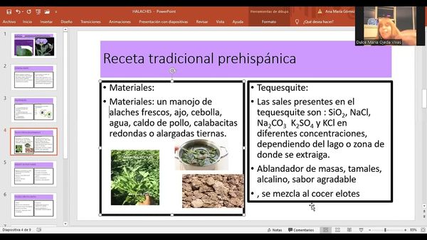 CEL056 - Beneficios Alimentarios y Medicinales de los Alaches: Preparación de una Receta Tradicion…