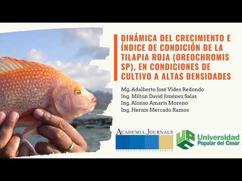 CCC-224 - DINÁMICA DEL CRECIMIENTO E ÍNDICE DE CONDICIÓN DE LA TILAPIA ROJA (OREOCHROMIS SP), EN…