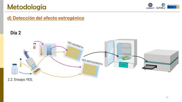H216 - EVALUACIÓN DE LA ACTIVIDAD ESTROGÉNICA EN MUESTRAS DE AGUAS SUPERFICIALES DEL LAGO DE CHAP…
