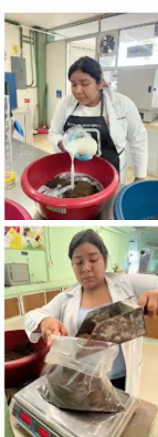 PUE003 - PROPOSAL FOR REMEDIATION OF SOILS CONTAMINATED WITH AUTOMOTIVE OIL USING ROD SURFACTANTS