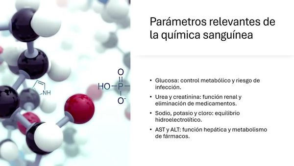 ITG033- Revisión Bibliográfica sobre la Importancia de la Biometría Hemática y la Química Sang…