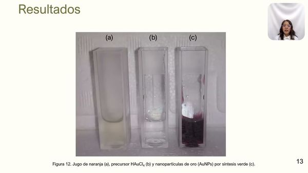 LSM027 - Jugo de Naranja (Citrus sinensis) como Agente Reductor para la Síntesis de Nanopartícula…