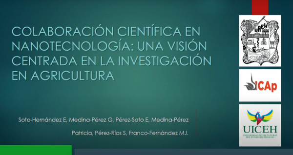 H005 - SCIENTIFIC COLLABORATION AND COMMUNITY STRUCTURE IN NANOTECHNOLOGY: A VIEW INTO THE RESEARCH…