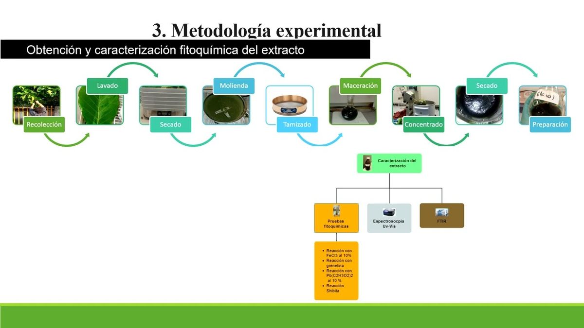 NUE023- Caracterización Espectroscópica y Fitoquímica de inhibidores verdes de corrosión proven…