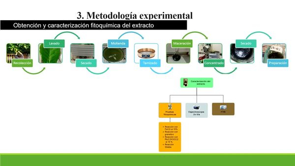 NUE023- Caracterización Espectroscópica y Fitoquímica de inhibidores verdes de corrosión proven…