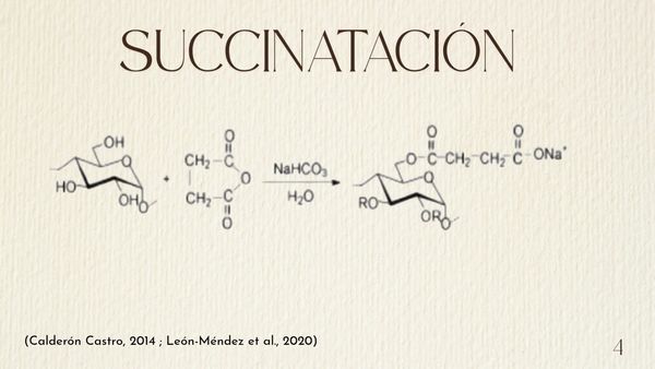 PUE087 - Evaluación del almidón de maíz modificado: efectos de la gelatinización y succinataci