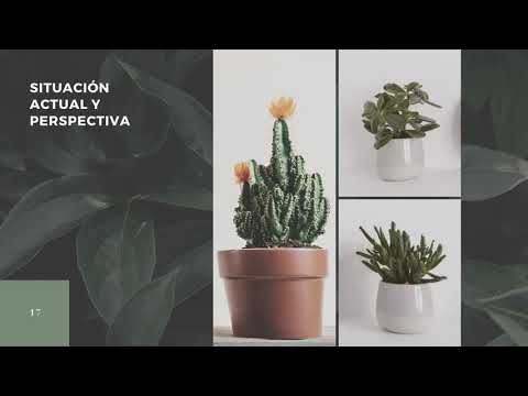 H070 - EL CAPITAL INTELECTUAL FACTOR DE INNOVACIÓN PARA EL CRECIMIENTO Y DESARROLLO ECONÓMICO EN …