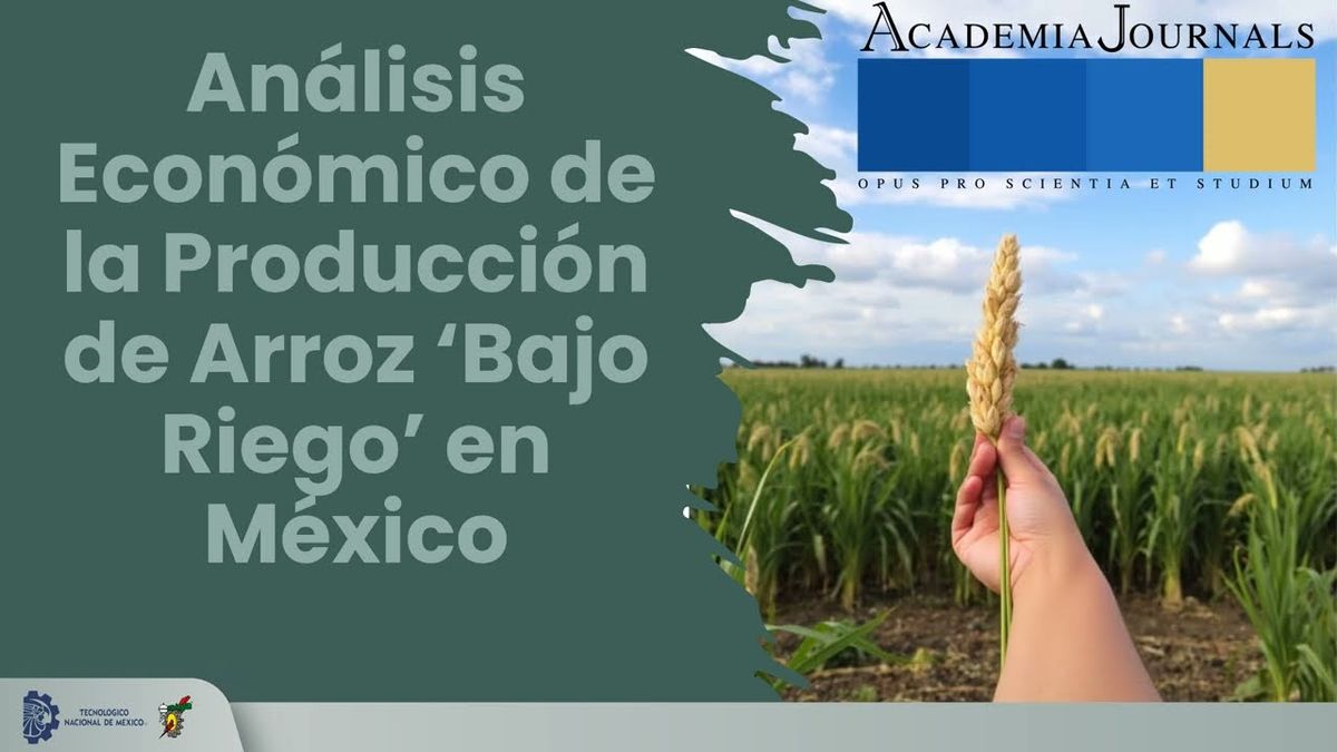 CLY013 - Análisis Económico de la Producción de Arroz ‘Bajo Riego’ en México