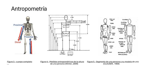 HDG223 - Parámetros biométricos para el diseño de componentes protésicos mediante una interfaz …