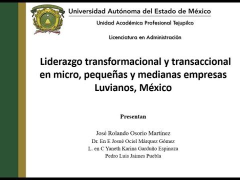 H516 - LIDERAZGO TRANSFORMACIONAL Y TRANSACCIONAL EN MICRO, PEQUEÑAS Y MEDIANAS EMPRESAS LUVIANOS,…