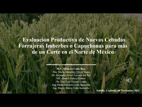 CYA144 - Evaluación Productiva de Nuevas Cebadas Forrajeras Imberbes o Capuchonas para más de un…