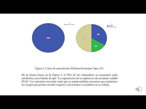 T014 - DIAGNÓSTICO PARA LA ELABORACIÓN E IMPLEMENTACIÓN DE UN SISTEMA DE SEGURIDAD PARA LA PREVE…