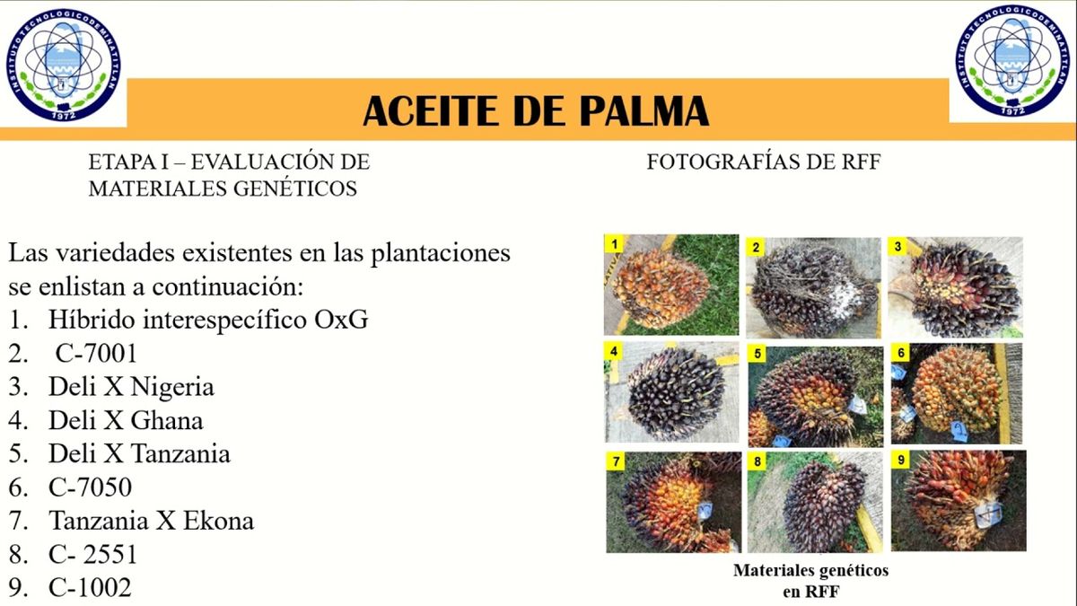 CLY102 - Determinación del Contenido de Aceite en Materiales Genéticos de las Plantaciones de Ace…