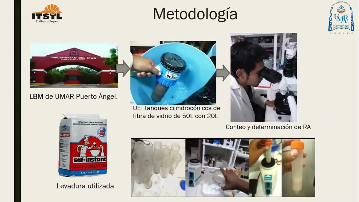 MOR119 - Producción del Rotífero Brachionus Plicatilis con Nannochloropsis Oculata y Saccharomyce…