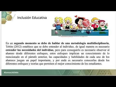 PUE201 - Análisis de Algunos Factores de Inclusión Educativa