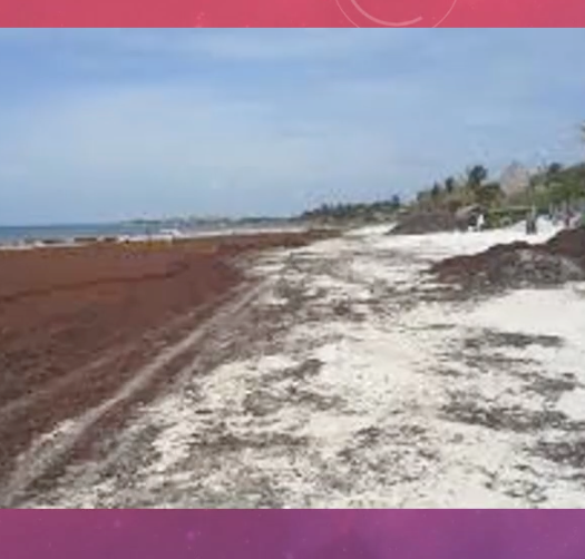 MED040 - Velocidad, dirección y amplitud de las olas y sus efectos en la morfología costera actua…