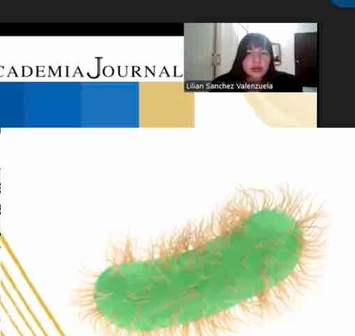 HDG273 - Epidemiología de los patotipos de Escherichia coli en rumiantes diarreicos o asintomátic…