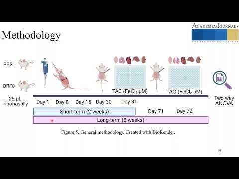 INT101- Efecto de la administración intranasal de la proteína ORF8 del SARS-CoV-2 en la capacidad…