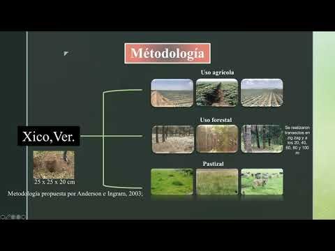 H359 - CARACTERIZACIÓN DE LAS PROPIEDADES FÍSICAS, QUÍMICAS Y BIOLÓGICAS EN LOS SUELOS CON DIFE…