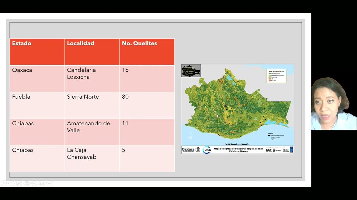 CLY224 - Valoración Social de los “Quelites” Consumidos en Oaxaca