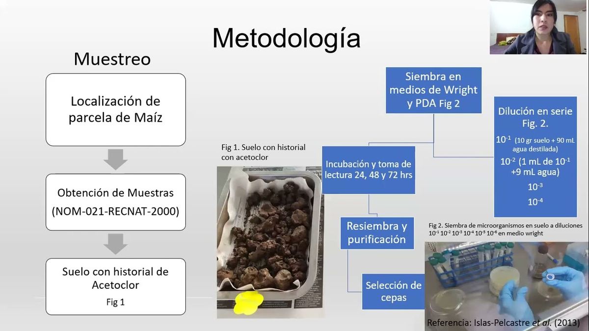 FRS209 - Presencia de Bacillus en Suelo con Antecedente de Acetoclor