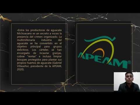 MEX003 - Aguacate Hass: la Ruta de las Pérdidas Económicas