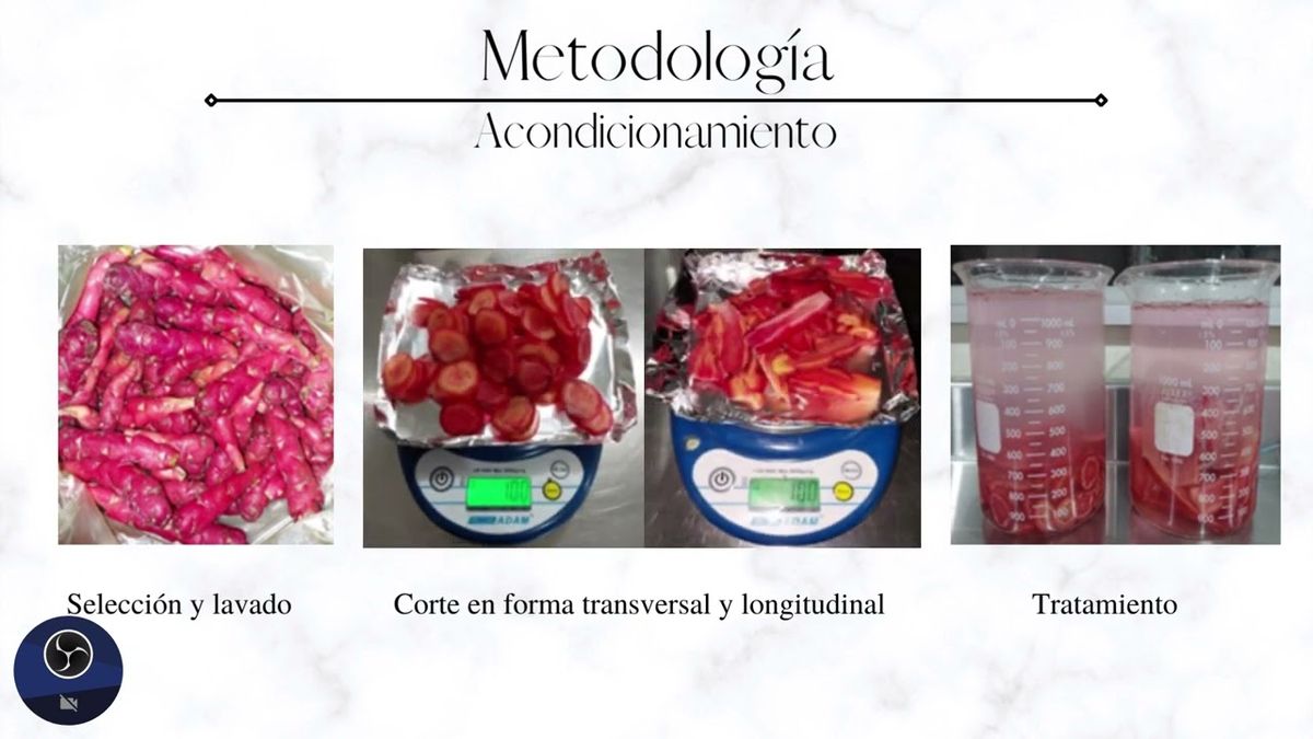 CHM033 - Efecto del Proceso de Secado sobre las Propiedades Funcionales de Papa (Oxalis tuberosa)