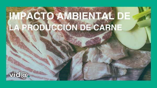 ZTP235 - RESPONSABILIDAD SOCIAL EMPRESARIAL: EL IMPACTO AMBIENTAL QUE TIENEN LAS EMPRESAS DE CARNES…