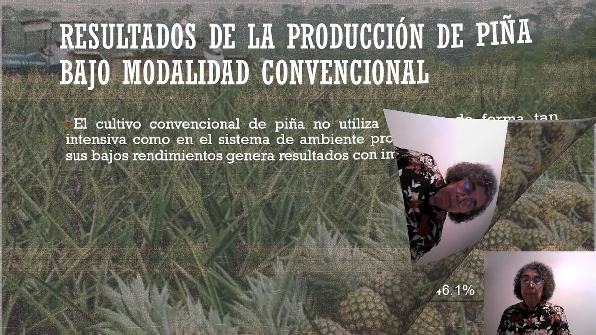 MOR300 - Análisis del Ciclo de Vida en la Producción de Piña