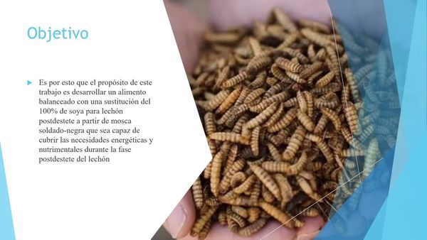 FRE090 - Desarrollo de un Alimento Balanceado para Lechones Destetados con un Reemplazo del 100% d…