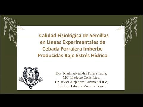 CYA171 - Calidad Fisiológica de Semillas en Líneas Experimentales de Cebada Forrajera Imberbe Pr…