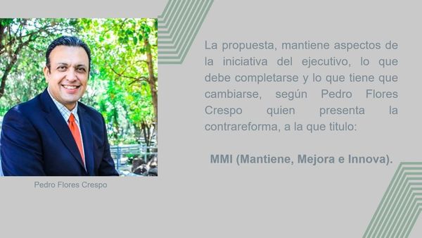 HDG295 - Dinámica Política y Continuidad Neoliberal en la Nueva Escuela Mexicana