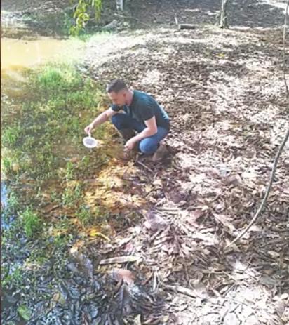 PUE060 - Estudio de Macroinvertebrados en La Laguna las Garzas del Campus Pérez Zeledón de la Uni…