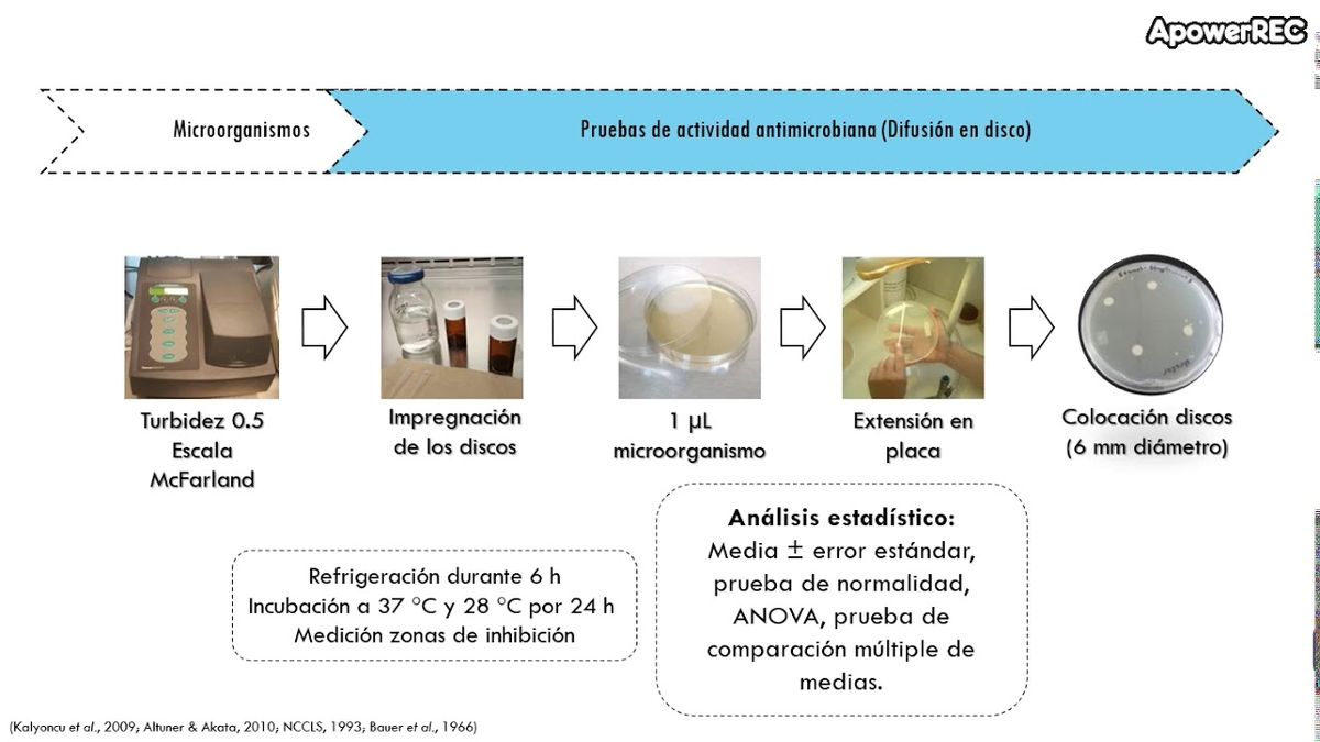 CCC-061 - ACTIVIDAD ANTIMICROBIANA DE TRES ESPECIES DE HONGOS MACROMICETOS DE CHIHUAHUA