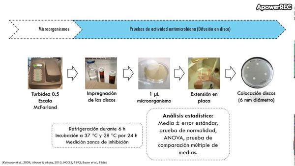 CCC-061 - ACTIVIDAD ANTIMICROBIANA DE TRES ESPECIES DE HONGOS MACROMICETOS DE CHIHUAHUA