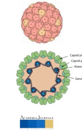 MED368 - Nuevos Talentos Humanos Universitarios en la Era Postpandemia: Estudio de caso Nuevo Lared…