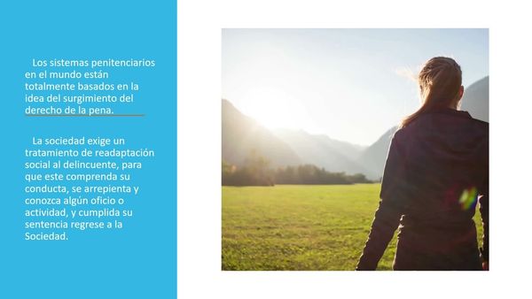 HDG161 - La Efectiva Reinserción Social en México a Partir de la Crítica al Derecho Penitenciario