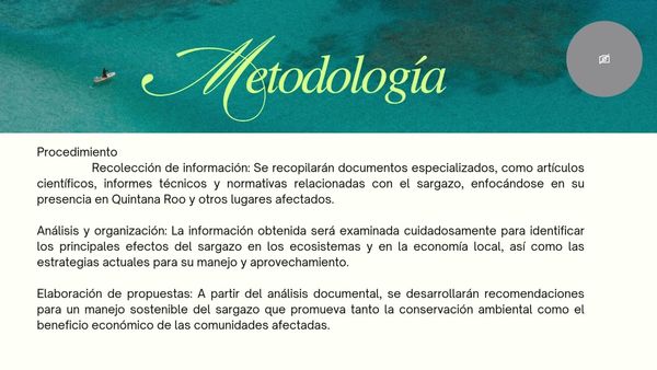 CHM025 - Sargazo: ¿recurso o amenaza? El reto de proteger manglares y economía en Quintana Roo