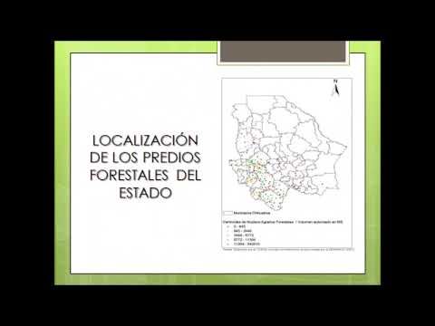 T105 - DESARROLLO FORESTAL DE LA SIERRA TARAHUMARA DEL ESTADO DE CHIHUAHUA