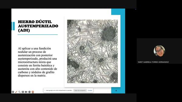 HDG231 - Borurado y Bainitizado sobre una Fundición Nodular Convencional