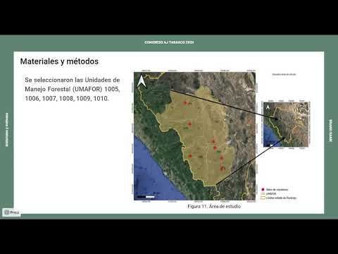 T206 - DISTRIBUCIÓN ESPACIAL DE INSECTOS DESCORTEZADORES EN UNA SECCIÓN DE LA SIERRA MADRE OCCIDE…