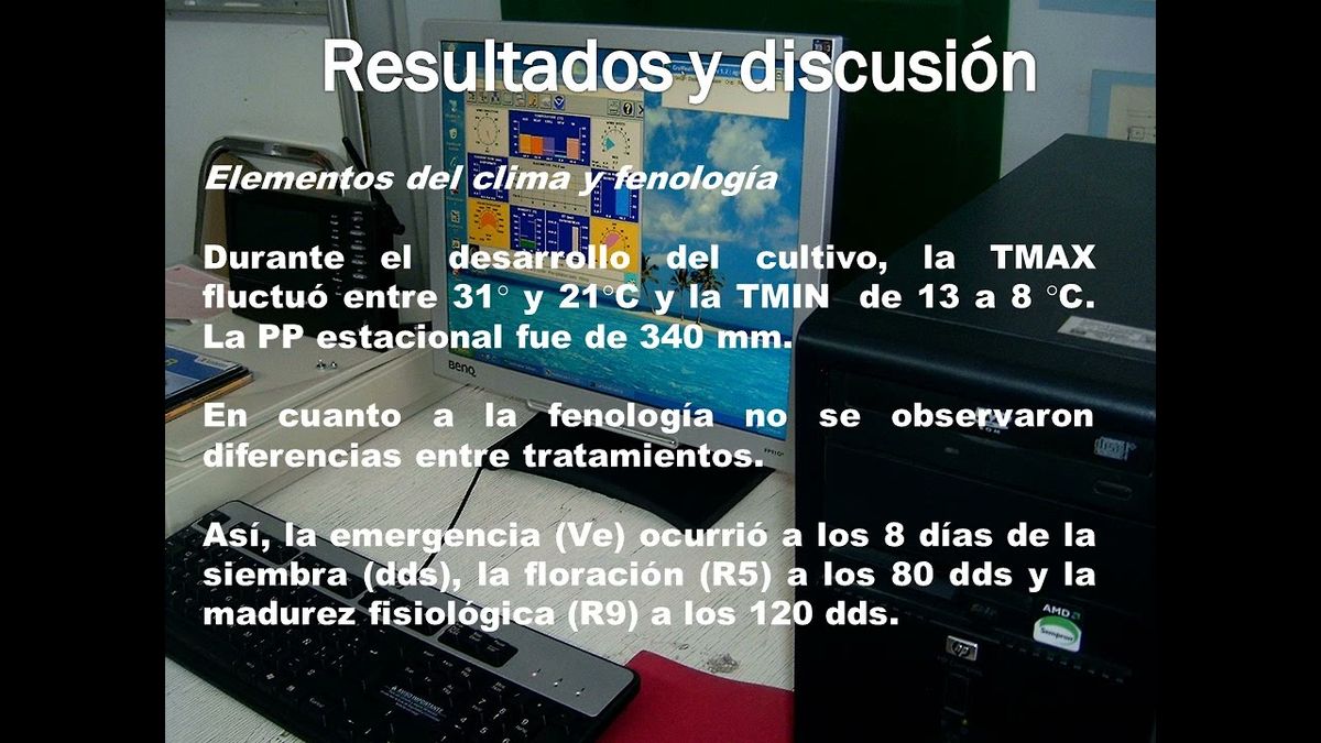 MLA184 - Rendimiento de Girasol en Función del Fósforo a Diferentes Niveles de Nitrógeno