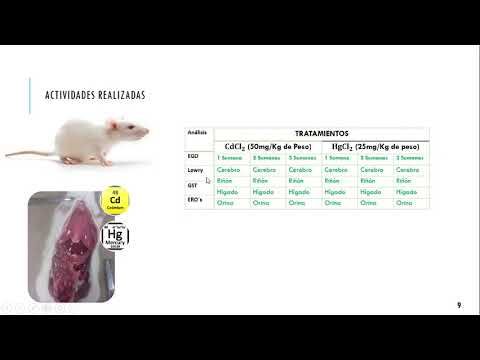 H140 - GLUTATIÓN S-TRANSFERASA, METALES PESADOS Y ESPECIES ADAPTADAS EN LA REGIÓN DEL PAPALOAPAN